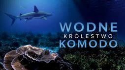 Wodne królestwo Komodo