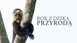 Rok z dziką przyrodą