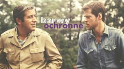 Barwy ochronne