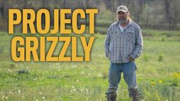 Mój przyjaciel grizzly