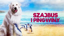 Szajbus i pingwiny