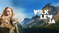 Wilk lew i ja