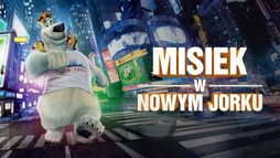 Misiek w Nowym Jorku