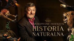 Fantastyczne zwierzęta: Historia naturalna