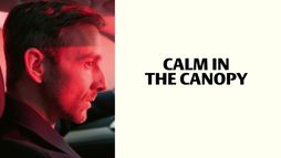 Cisza w koronach drzew