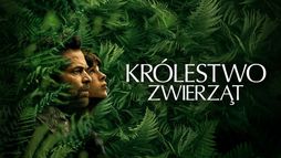 Królestwo zwierząt