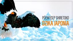 Półwysep Shiretoko. Dzika Japonia