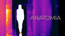 Anatomia