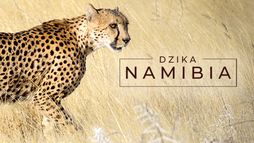 Dzika Namibia