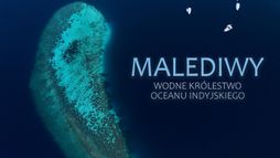 Malediwy. Wodne królestwo Oceanu Indyjskiego