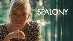 Spalony