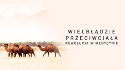 Wielbłądzie przeciwciała. Rewolucja w medycynie?