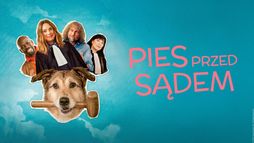 Pies przed sądem