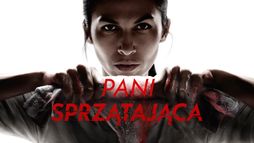 Pani sprzątająca