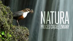 Natura. Proces ciągłej zmiany