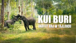 Kui Buri. Ukryty raj w Tajlandii