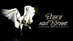 Stawy nad Brenne. Czujnym okiem kamery