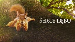 Serce Dębu
