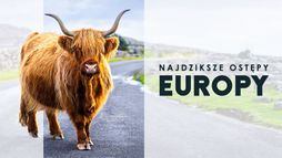 Najdziksze ostępy Europy