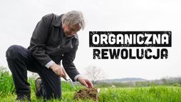 Organiczna rewolucja