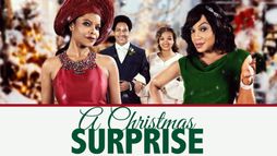 A Christmas Surprise
