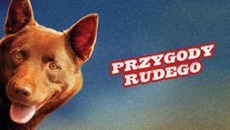 Przygody Rudego