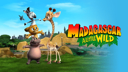Madagaskar: mała dżungla