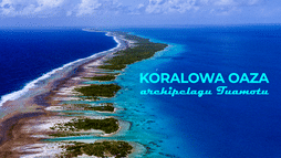 Koralowa oaza archipelagu Tuamotu
