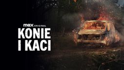 Konie i kaci