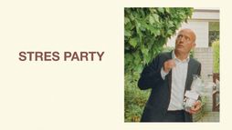 Stres party