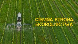 Ciemna strona ekorolnictwa