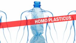 Homo plasticus