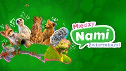 Między nami zwierzakami
