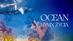 Ocean. Hymn życia