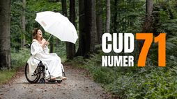 Cud numer 71