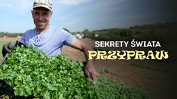 Sekrety świata przypraw
