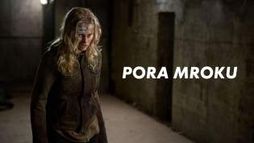Pora mroku