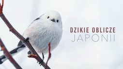 Dzikie oblicze Japonii