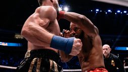BKFC 84 Palm Dessert