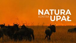 Natura kontra upał