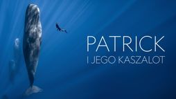 Patrick i jego kaszalot