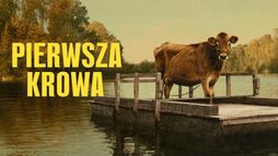 Pierwsza krowa