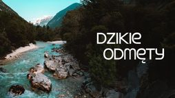 Dzikie odmęty