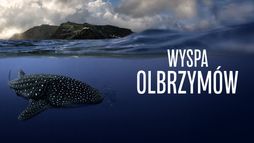 Wyspa olbrzymów