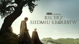 Rycerz Siedmiu Królestw