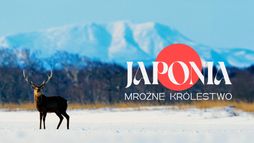 Japonia: Mroźne królestwo