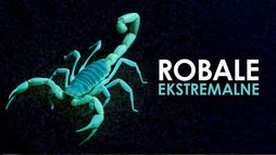 Robale ekstremalne