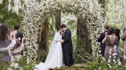 Saga Zmierzch: Przed świtem – część 1