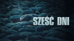 6 dni