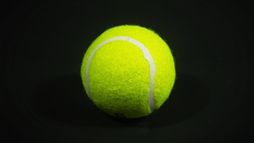 Tenis: WTA 500 - VANDA Pharmaceuticals Berlin Tennis Open